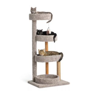 Cozy Window Cat Perch